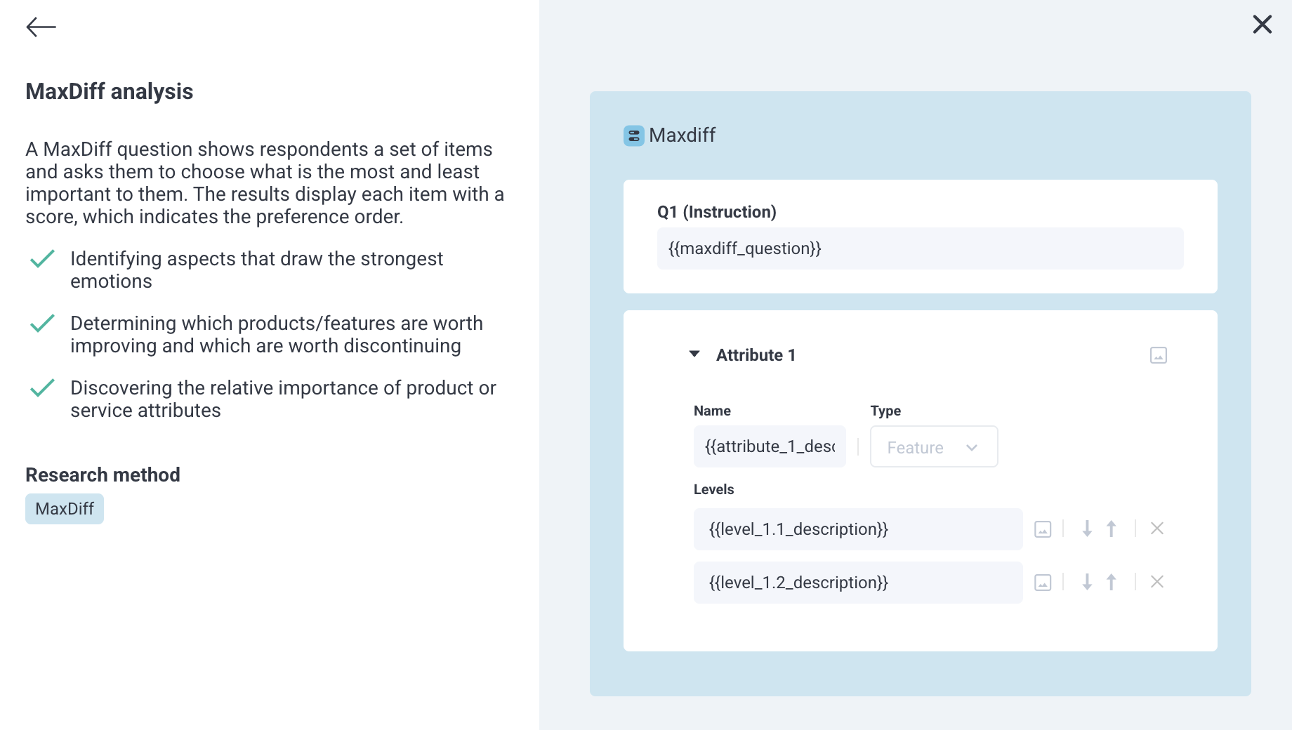 MaxDiff Analysis: Question and Instructions